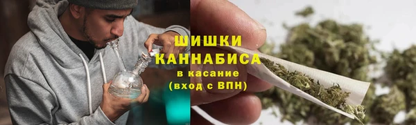 ПСИЛОЦИБИНОВЫЕ ГРИБЫ Арсеньев