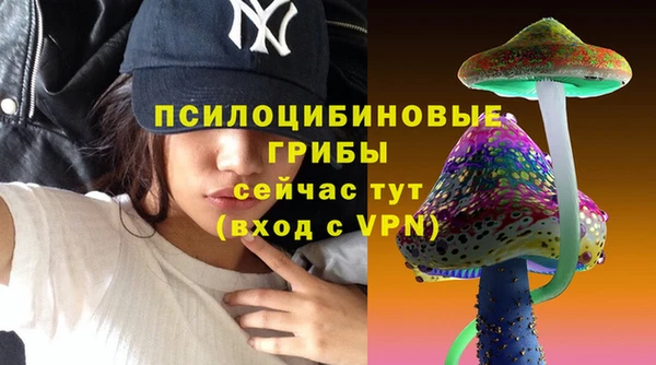 ПСИЛОЦИБИНОВЫЕ ГРИБЫ Арсеньев