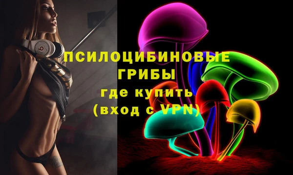 ПСИЛОЦИБИНОВЫЕ ГРИБЫ Арсеньев