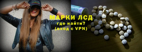 ПСИЛОЦИБИНОВЫЕ ГРИБЫ Арсеньев